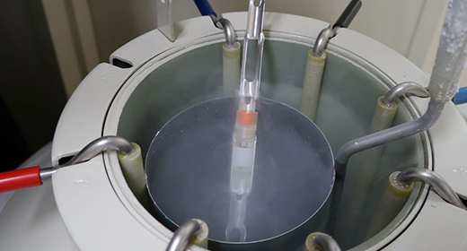 凍結胚・精子の輸送